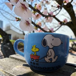 snoopy-v